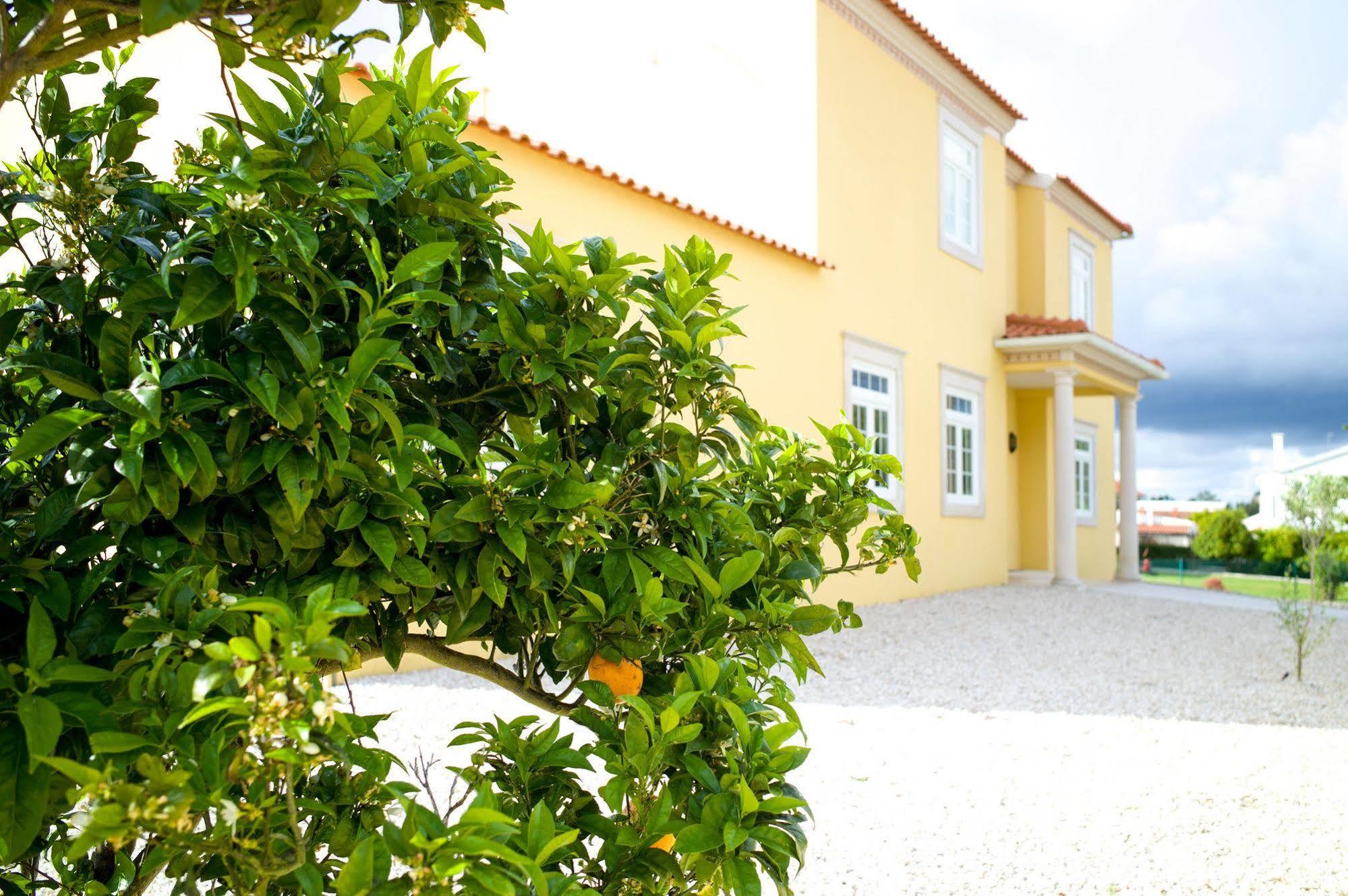 Bed and Breakfast Casa Pedra Nobre Nadadouro Екстер'єр фото